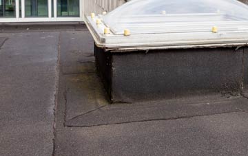 disadvantages of West Hyde flat roofs